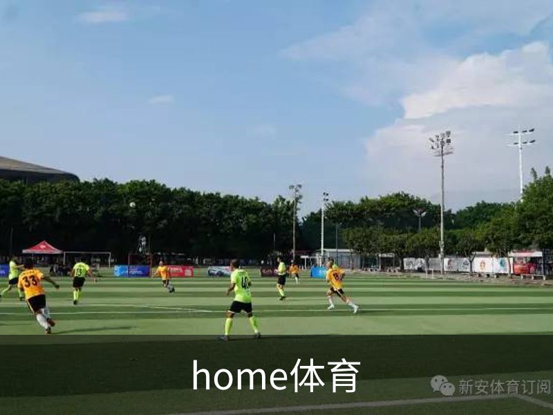 home体育概况